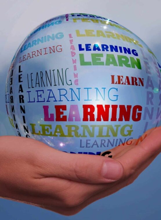 adult education 3812693 1280 - Ιδιαίτερο ή Τάξη; - Legacy Legatou